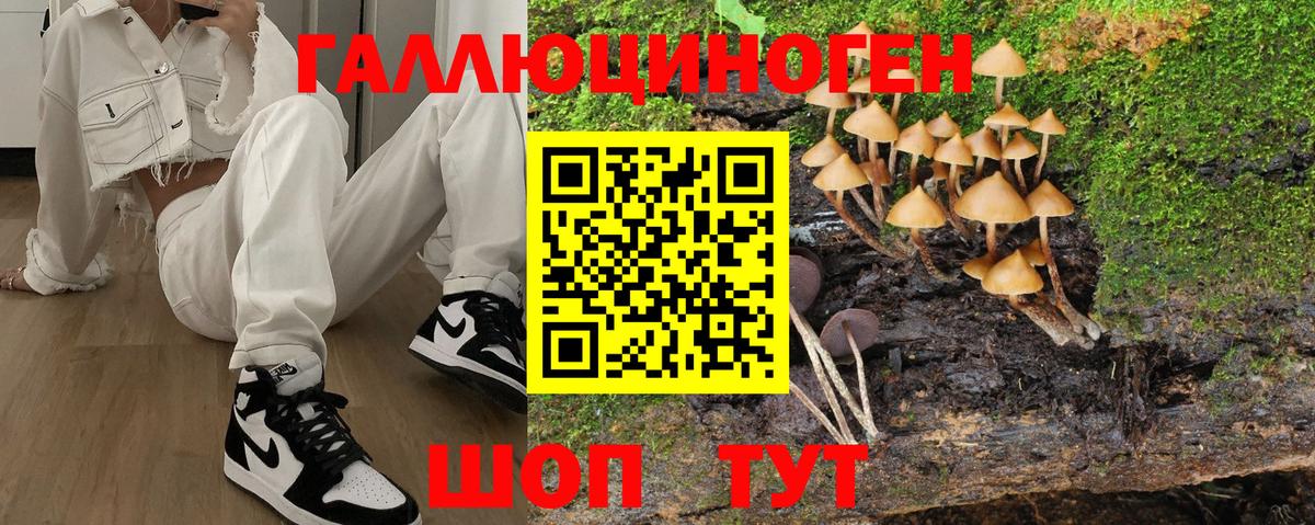 Псилоцибиновые грибы GOLDEN TEACHER  Псилоцибиновые грибы ЛСД  Конаково  Вход с VPN 
